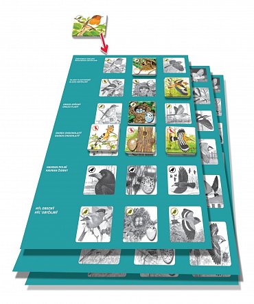 Náhled Pexetrio - Ptáci