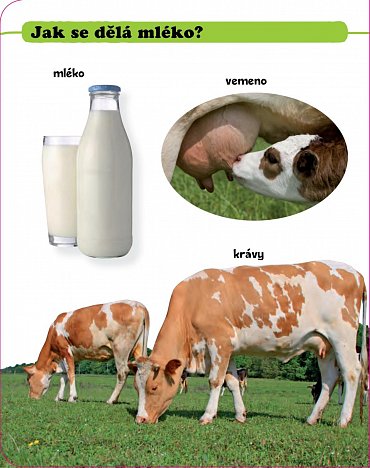 Náhled Podívej! Co je to? Život na statku