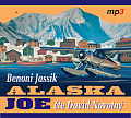 Alaska Joe - Čtyři roky crazy života na Aljašce - CDmp3 (Čte David Novotný)