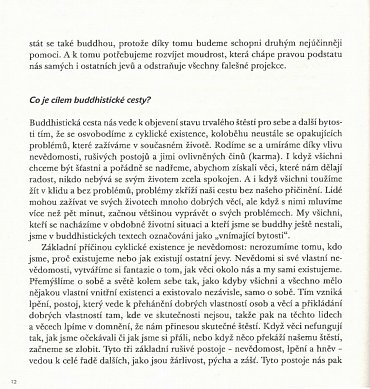 Náhled Buddhismus pro začátečníky