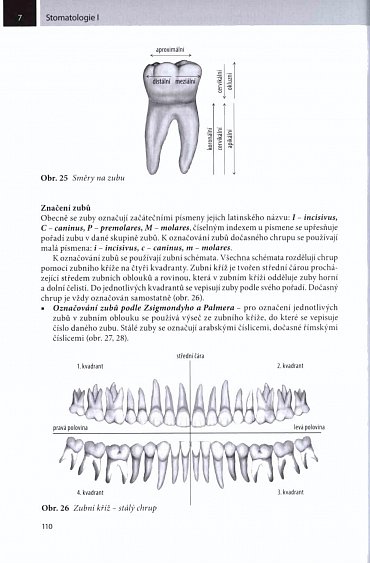 Náhled Stomatologie I pro SZŠ a VOŠ