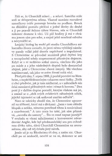 Náhled Faktor Churchill