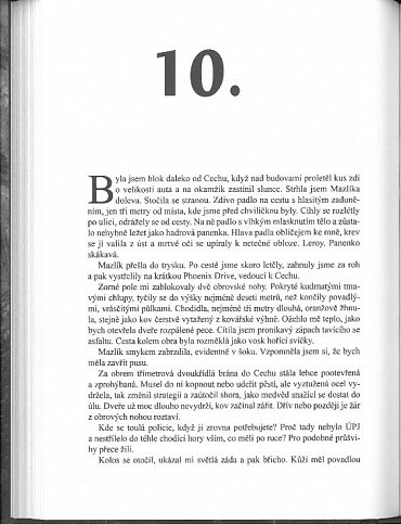 Náhled Kate Daniels 8 - Magie změny