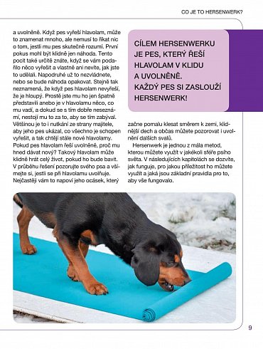 Náhled Hersenwerk pro psy - Psí hlavolamy