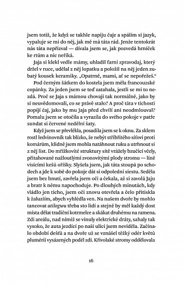 Náhled Purpurový ibišek