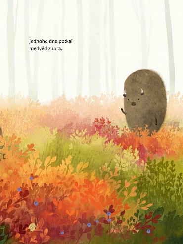 Náhled Medvěd nechce jít spát