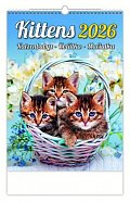 Kalendář nástěnný 2026 - Kittens/Katzenbabys/Koťátka/Mačičky