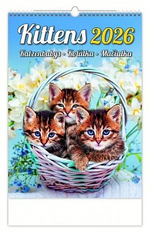 Kalendář nástěnný 2026 - Kittens/Katzenbabys/Koťátka/Mačičky