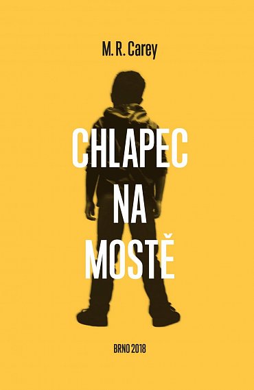 Náhled Chlapec na mostě