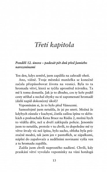 Náhled Dokonalá zrada