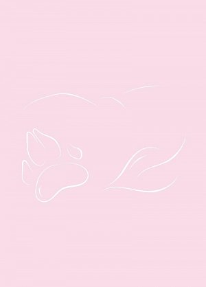 Meditační deníček