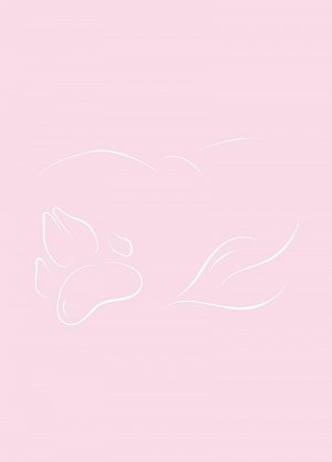 Meditační deníček