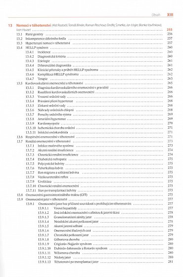 Náhled Moderní porodnictví