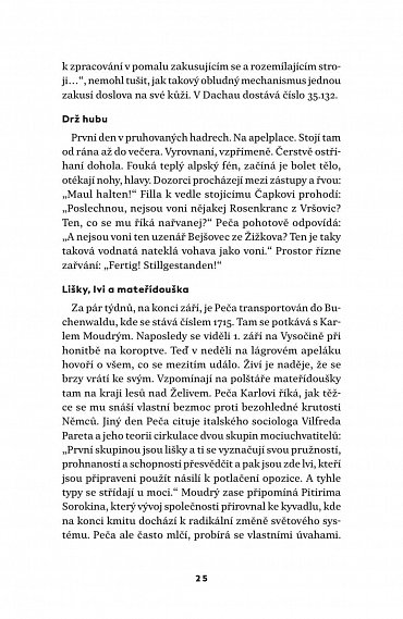 Náhled Do posledních sil - Tři dokumentární povídky z konce protektorátu