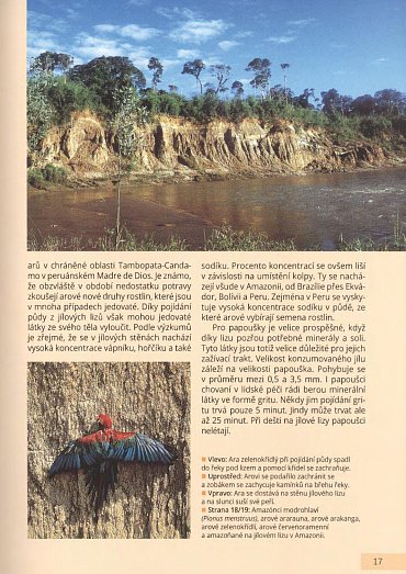 Náhled Arové - Chov, výživa a krmení, voliéry, život ve volnosti