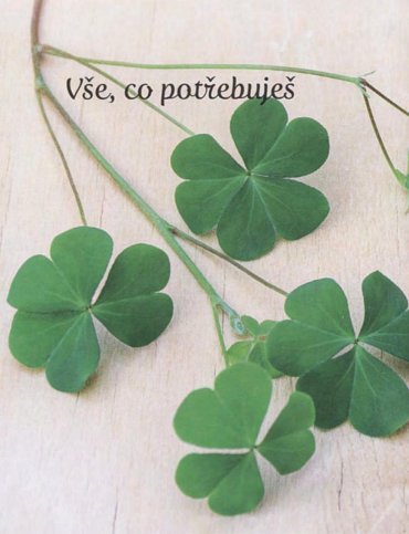 Náhled Co ti ze srdce přeji