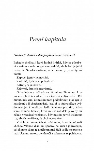 Náhled Dokonalá zrada