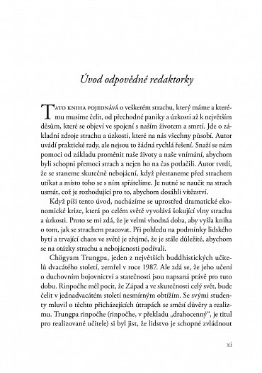 Náhled Usmívej se na strach - Probuzení skutečného srdce statečnosti