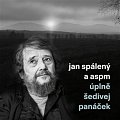 Úplně šedivej panáček - LP