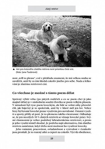 Náhled Retrívři a vodní psi