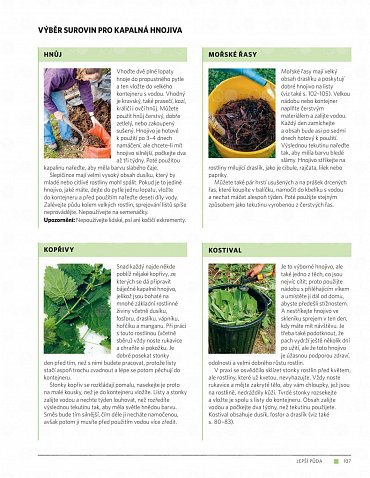 Náhled Moderní zahrada