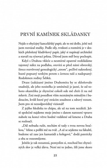 Náhled Divoké léto Jáchyma Šebka