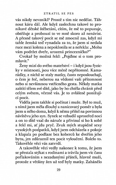 Náhled Ztratil se pes