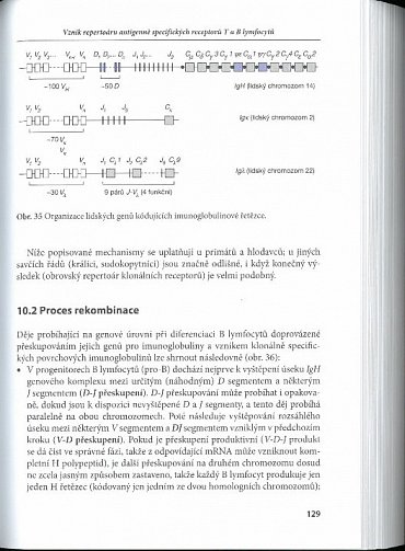 Náhled Základy imunologie, 5.  vydání