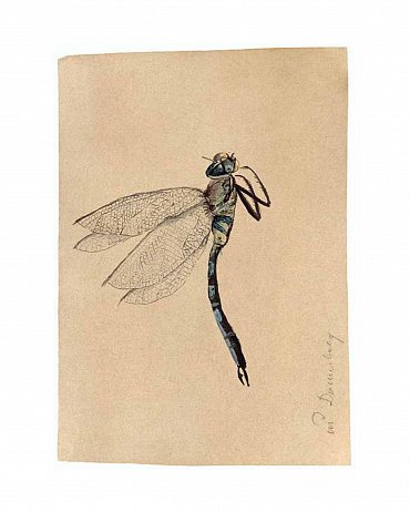 Náhled Bestiář: Pozvěte umění domů! 21 obrazů k zarámování