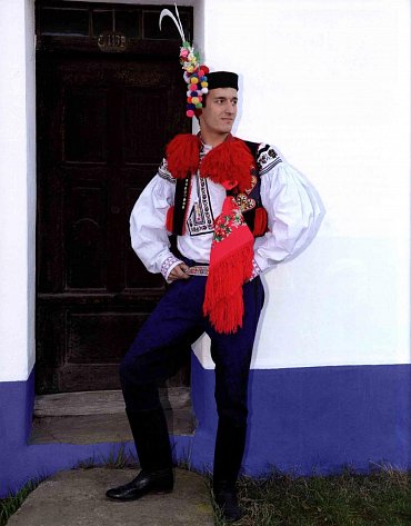 Náhled Koně pro krále