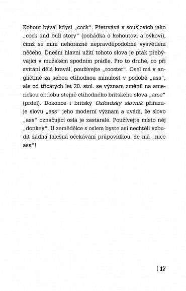 Náhled Angličtina na rovinu II