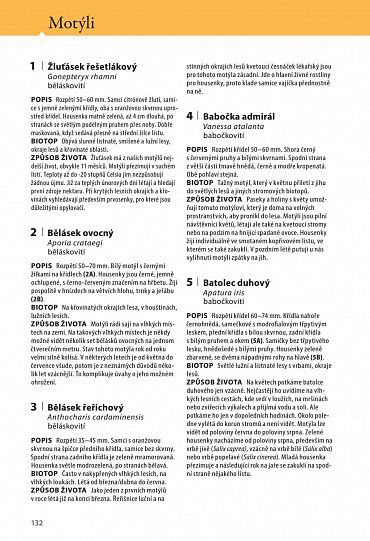 Náhled Velký průvodce lesem