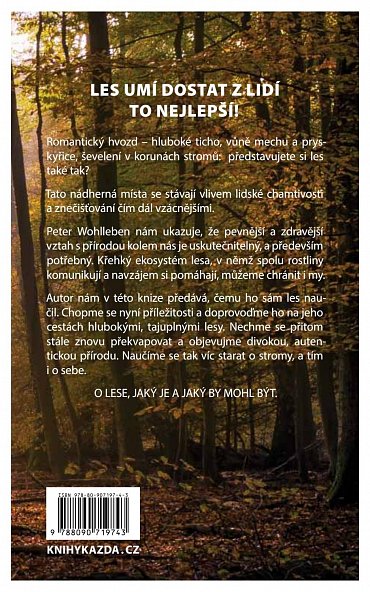 Náhled Moudrost lesa