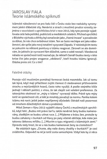 Náhled Stíny minaretů -Islám a muslimové jako předmět českých veřejných polemik