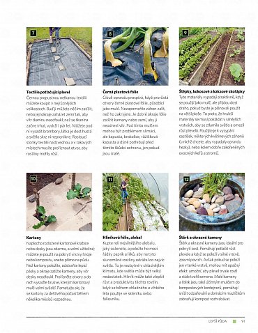 Náhled Moderní zahrada