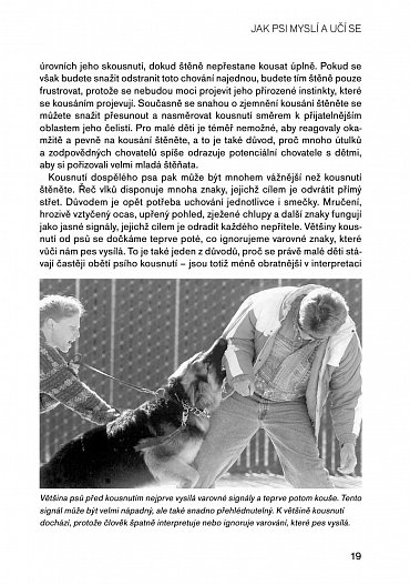 Náhled Pozitivní metody výchovy psa