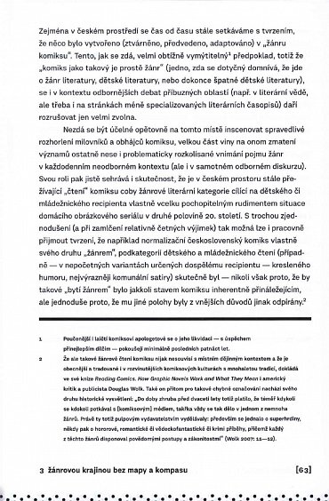 Náhled V panelech a bublinách - Kapitoly z teorie komiksu