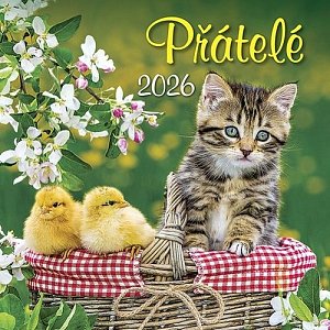 Kalendář 2026 Přátelé, nástěnný, 33 x 33 cm