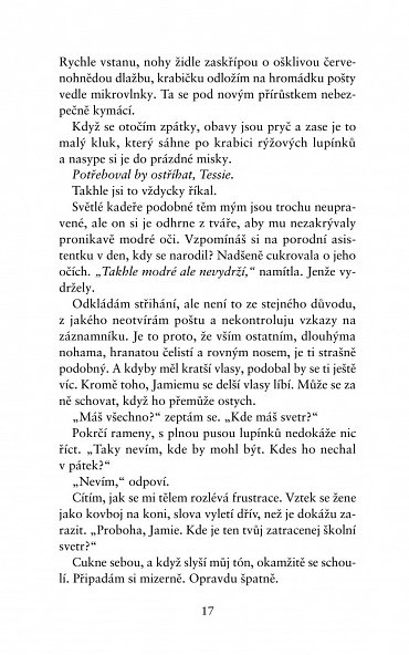 Náhled Dokonalá zrada