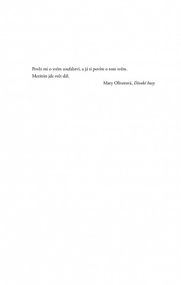 Náhled Poslední let