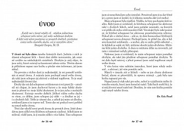 Náhled Reconnection - Návrat k léčivé energii