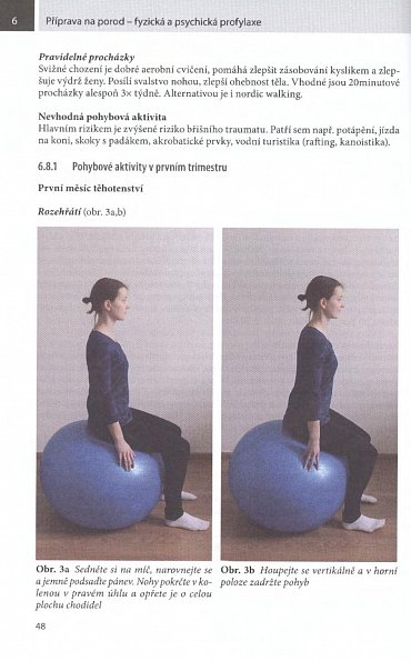 Náhled Příprava na porod - fyzická a psychická profylaxe