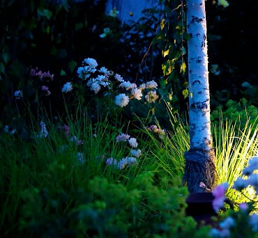 Náhled Live in Your Garden