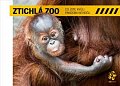 Ztichlá zoo - Co jste kvůli pandemii neviděli