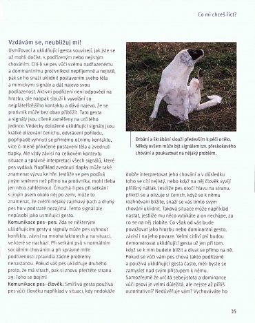 Náhled Co nám říká pes?