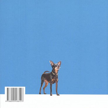 Náhled Od štěněte ke psu - Jak nenásilně vychovat skvělého společníka