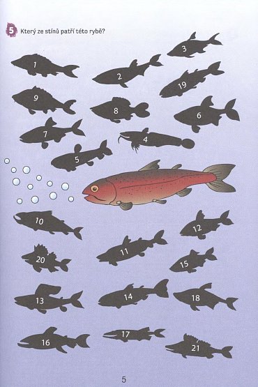 Náhled Hurá na prázdniny - Opakování 5. třídy