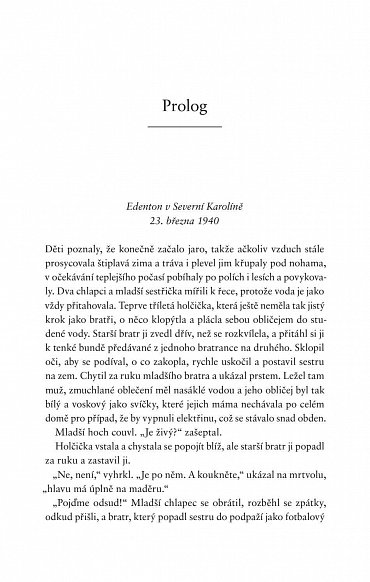 Náhled Prolhané městečko