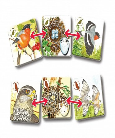 Náhled Pexetrio - Ptáci