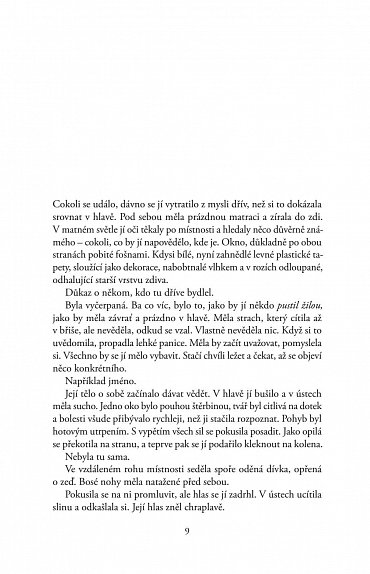 Náhled Žena bez minulosti